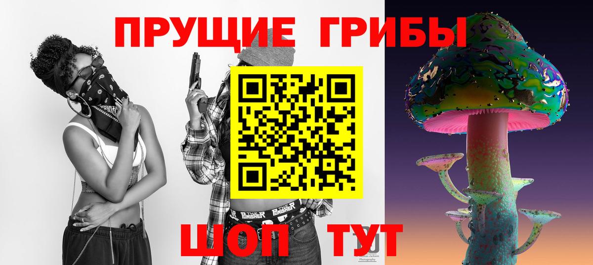 Псилоцибиновые грибы мицелий  Псилоцибиновые грибы Psilocybine cubensis  купить наркотики цена  Фролово  Вход с VPN 